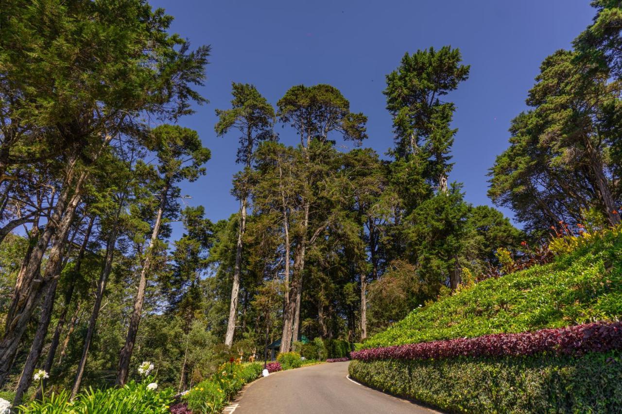 Mirage Kings Cottage Nuwara Eliya Exterior photo
